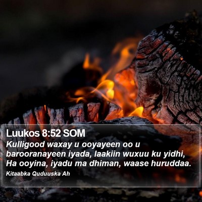 Luukos 8:52 SOM Bible Verse Image