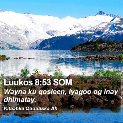 Luukos 8:53 SOM Bible Verse Image