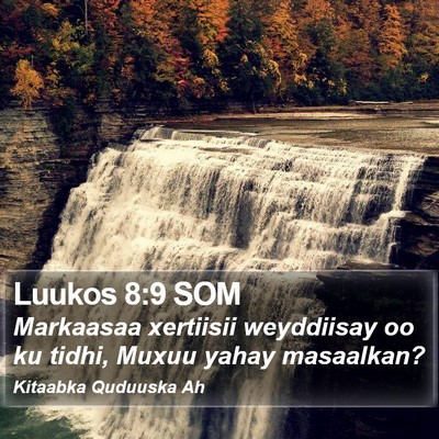 Luukos 8:9 SOM Bible Verse Image