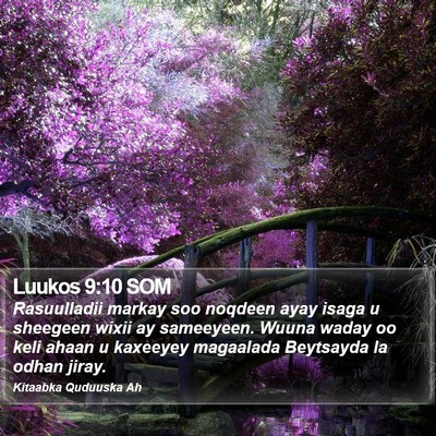 Luukos 9:10 SOM Bible Verse Image
