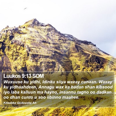 Luukos 9:13 SOM Bible Verse Image