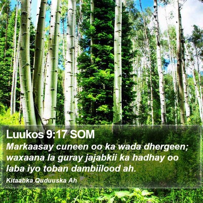 Luukos 9:17 SOM Bible Verse Image