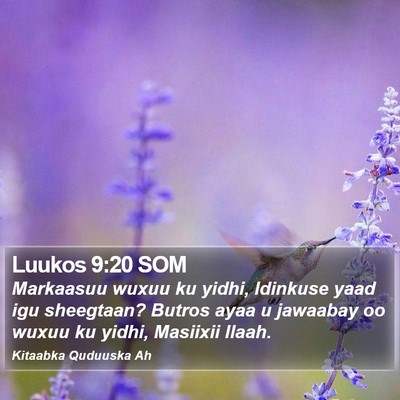 Luukos 9:20 SOM Bible Verse Image