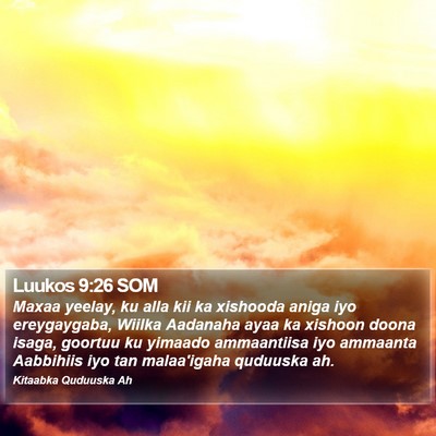 Luukos 9:26 SOM Bible Verse Image