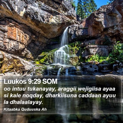 Luukos 9:29 SOM Bible Verse Image