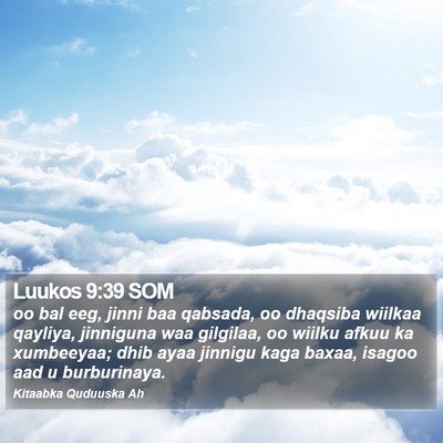 Luukos 9:39 SOM Bible Verse Image