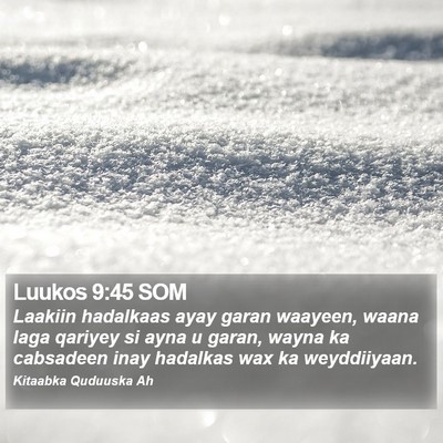 Luukos 9:45 SOM Bible Verse Image