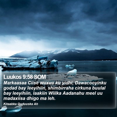 Luukos 9:58 SOM Bible Verse Image