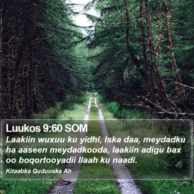 Luukos 9:60 SOM Bible Verse Image