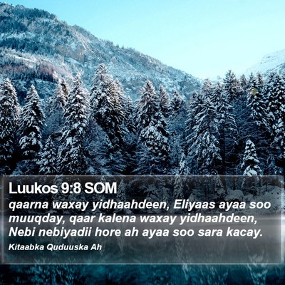 Luukos 9:8 SOM Bible Verse Image