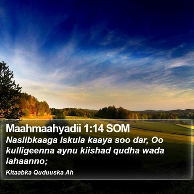 Maahmaahyadii 1:14 SOM Bible Verse Image