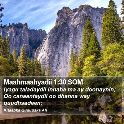 Maahmaahyadii 1:30 SOM Bible Verse Image