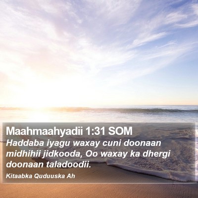 Maahmaahyadii 1:31 SOM Bible Verse Image