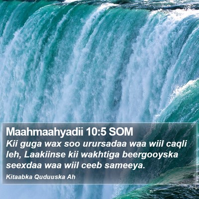 Maahmaahyadii 10:5 SOM Bible Verse Image