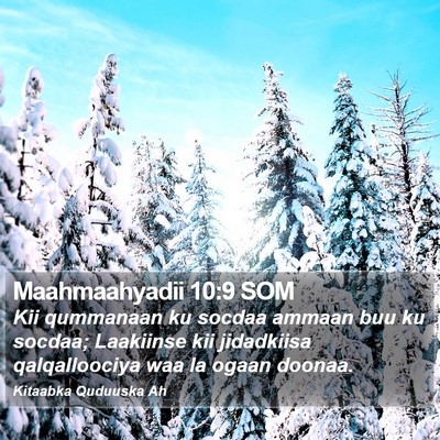 Maahmaahyadii 10:9 SOM Bible Verse Image