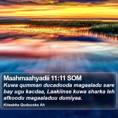 Maahmaahyadii 11:11 SOM Bible Verse Image