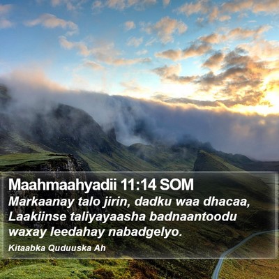 Maahmaahyadii 11:14 SOM Bible Verse Image