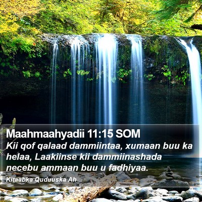 Maahmaahyadii 11:15 SOM Bible Verse Image