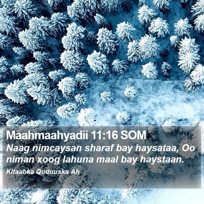 Maahmaahyadii 11:16 SOM Bible Verse Image