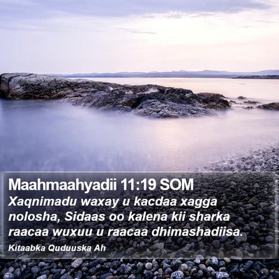 Maahmaahyadii 11:19 SOM Bible Verse Image
