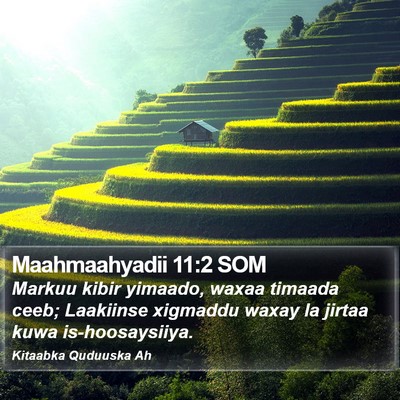 Maahmaahyadii 11:2 SOM Bible Verse Image