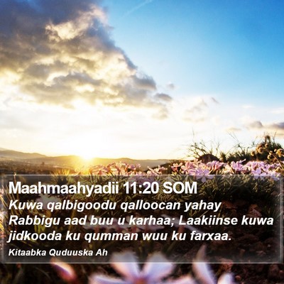 Maahmaahyadii 11:20 SOM Bible Verse Image