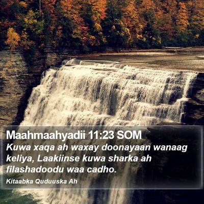 Maahmaahyadii 11:23 SOM Bible Verse Image