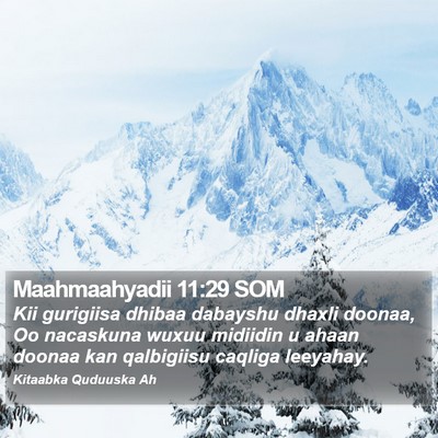 Maahmaahyadii 11:29 SOM Bible Verse Image