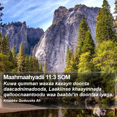 Maahmaahyadii 11:3 SOM Bible Verse Image