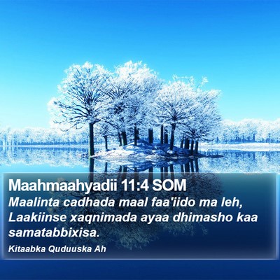 Maahmaahyadii 11:4 SOM Bible Verse Image