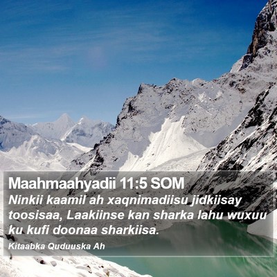 Maahmaahyadii 11:5 SOM Bible Verse Image