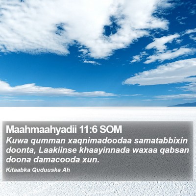 Maahmaahyadii 11:6 SOM Bible Verse Image