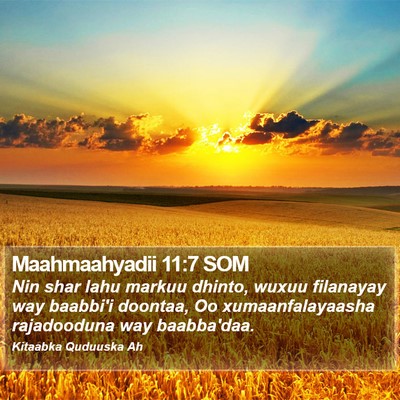 Maahmaahyadii 11:7 SOM Bible Verse Image