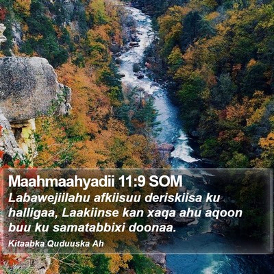 Maahmaahyadii 11:9 SOM Bible Verse Image