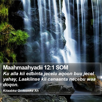 Maahmaahyadii 12:1 SOM Bible Verse Image