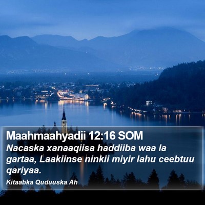Maahmaahyadii 12:16 SOM Bible Verse Image