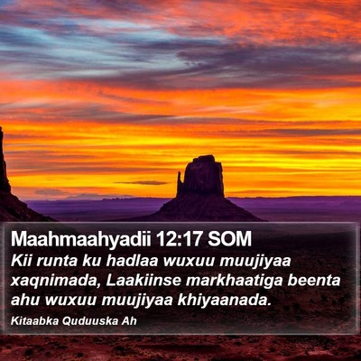 Maahmaahyadii 12:17 SOM Bible Verse Image