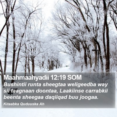 Maahmaahyadii 12:19 SOM Bible Verse Image