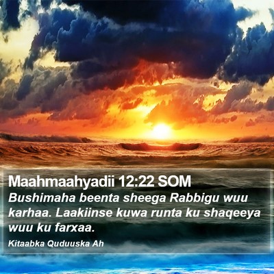 Maahmaahyadii 12:22 SOM Bible Verse Image