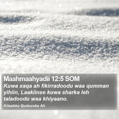 Maahmaahyadii 12:5 SOM Bible Verse Image