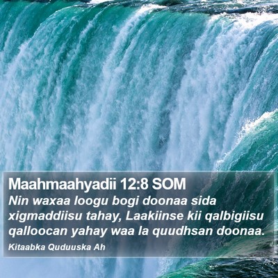 Maahmaahyadii 12:8 SOM Bible Verse Image