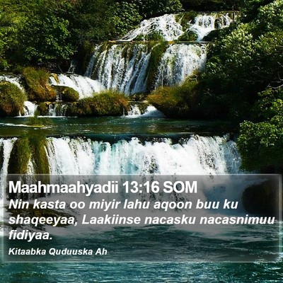 Maahmaahyadii 13:16 SOM Bible Verse Image