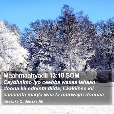 Maahmaahyadii 13:18 SOM Bible Verse Image