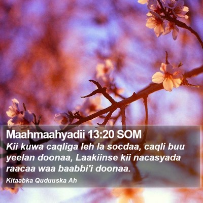 Maahmaahyadii 13:20 SOM Bible Verse Image