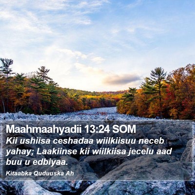 Maahmaahyadii 13:24 SOM Bible Verse Image