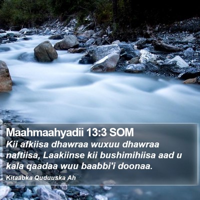 Maahmaahyadii 13:3 SOM Bible Verse Image