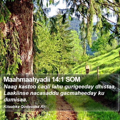Maahmaahyadii 14:1 SOM Bible Verse Image