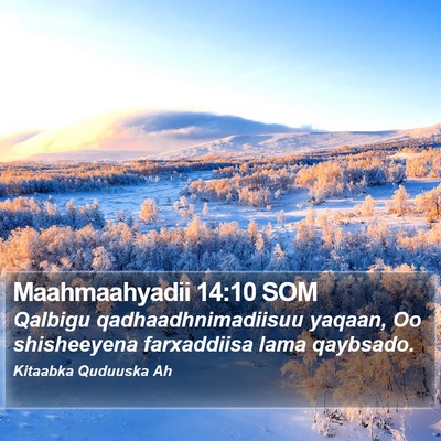 Maahmaahyadii 14:10 SOM Bible Verse Image