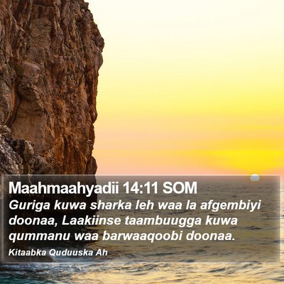 Maahmaahyadii 14:11 SOM Bible Verse Image