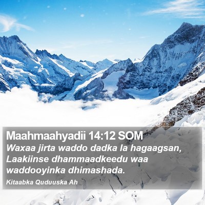 Maahmaahyadii 14:12 SOM Bible Verse Image